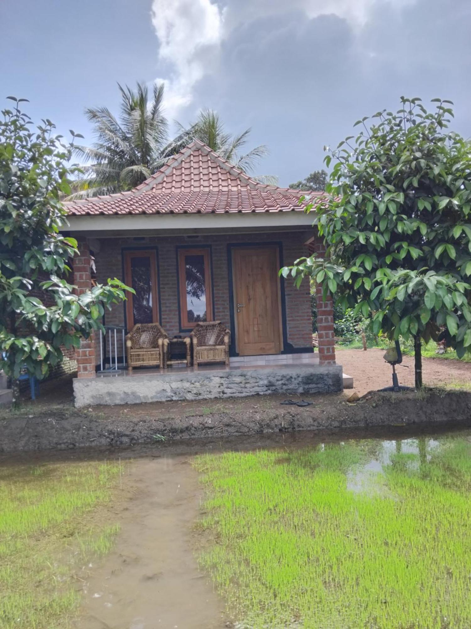 Tereng Wilis Bungalows Tetebatu Eksteriør billede