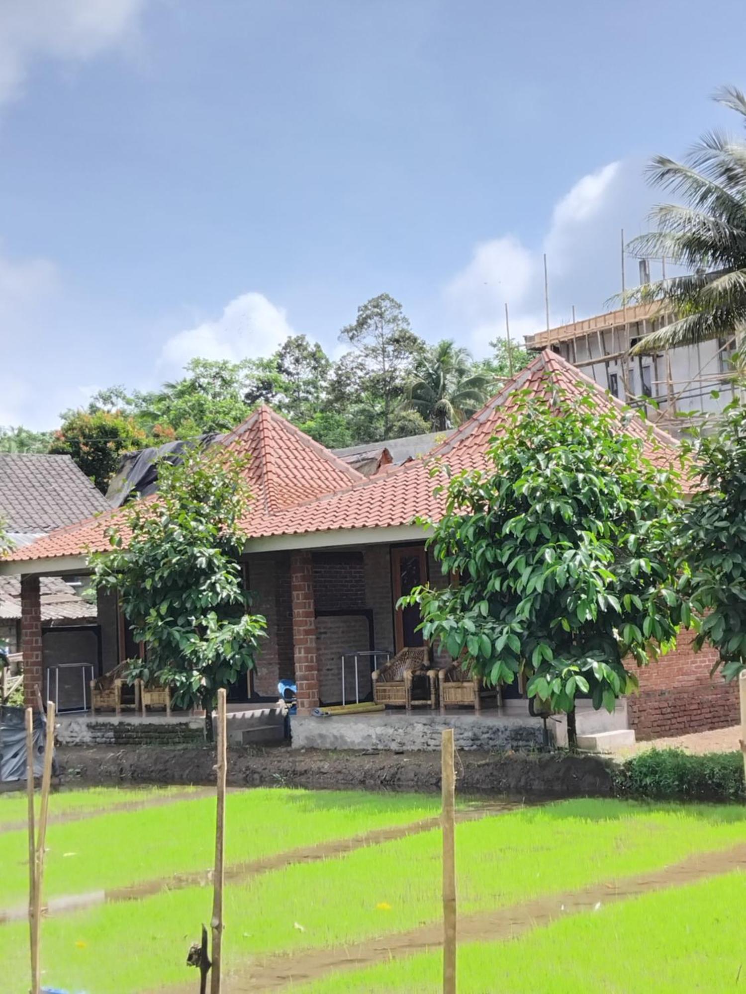 Tereng Wilis Bungalows Tetebatu Værelse billede