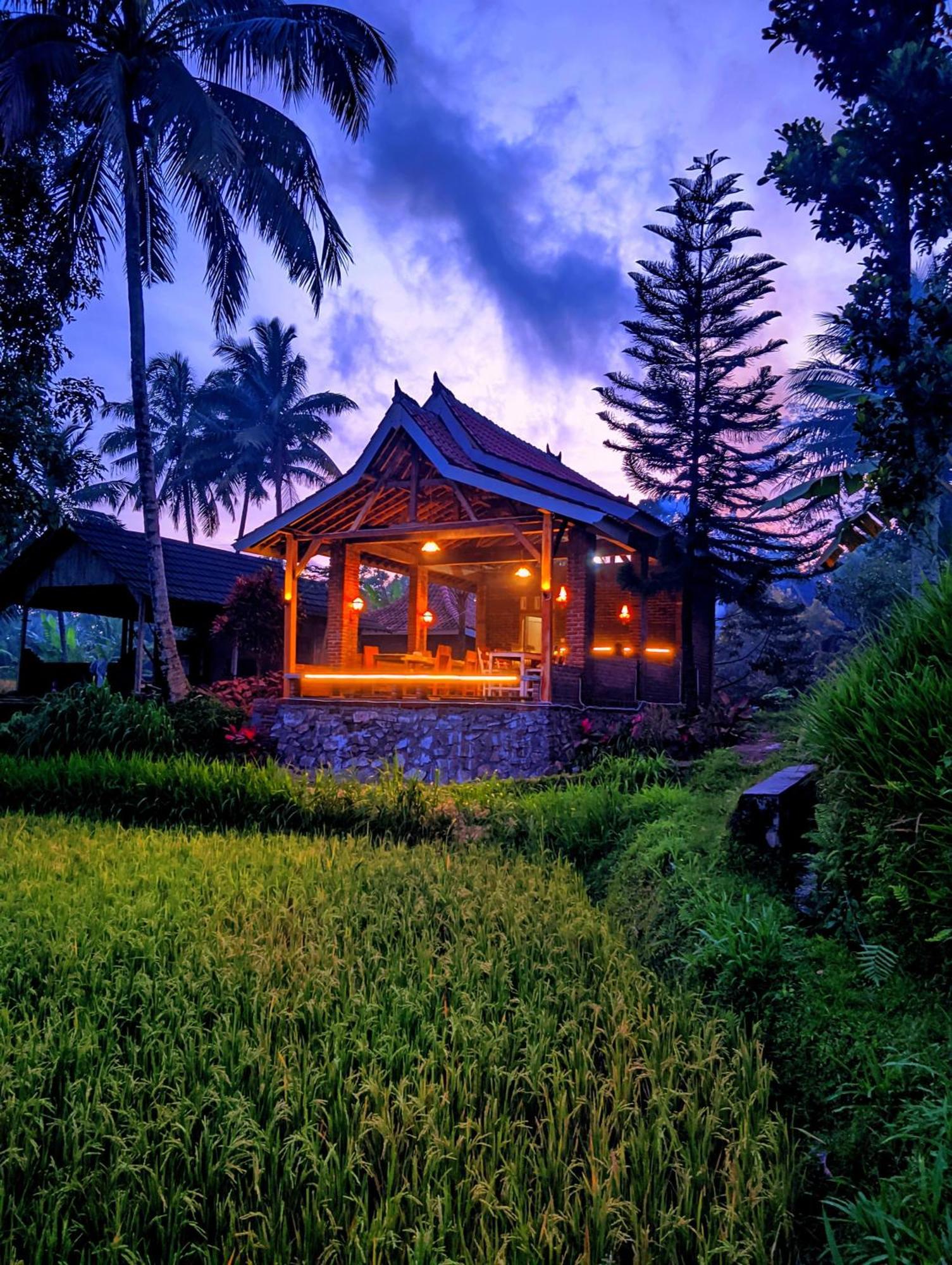 Tereng Wilis Bungalows Tetebatu Eksteriør billede