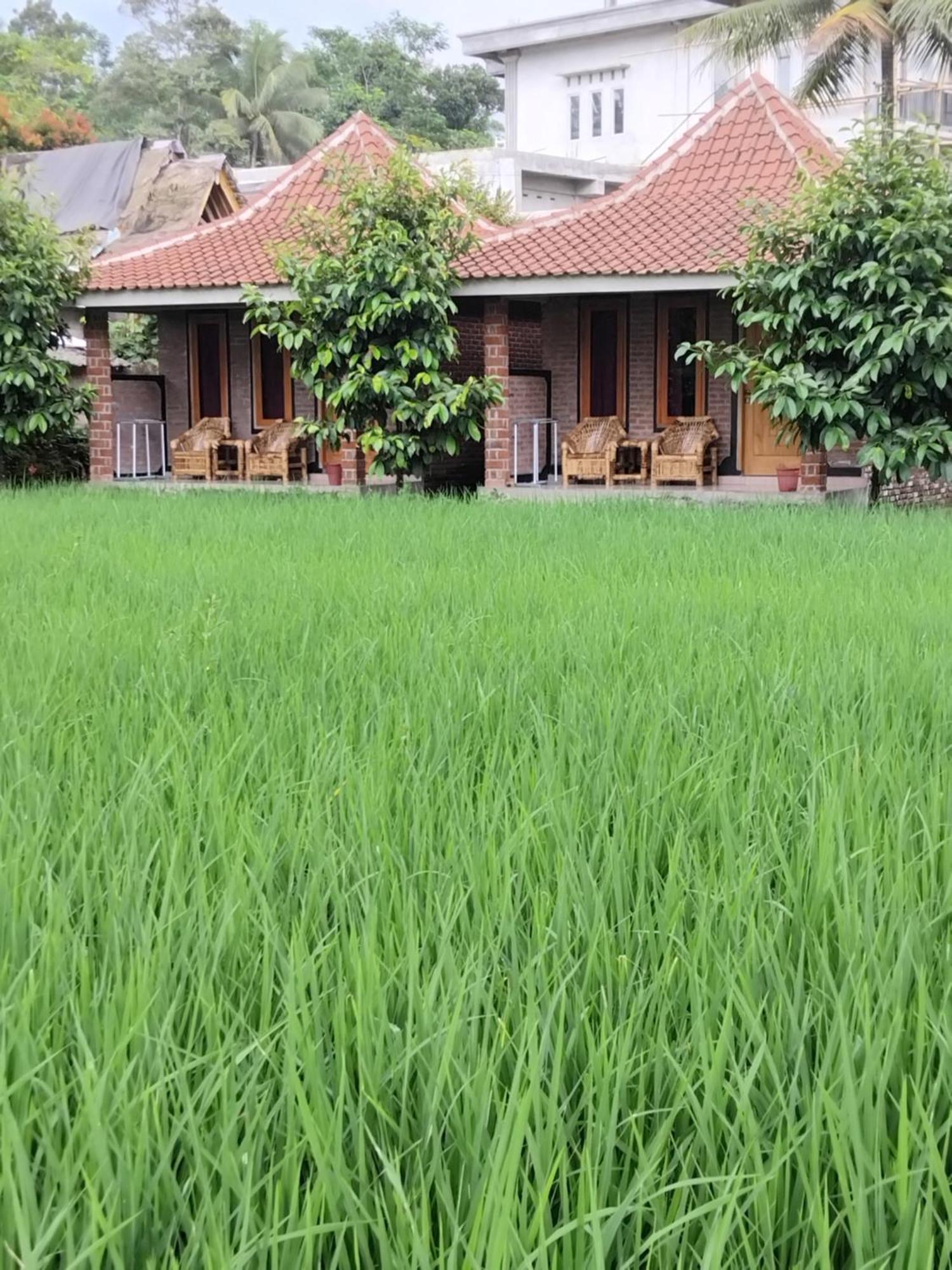 Tereng Wilis Bungalows Tetebatu Eksteriør billede