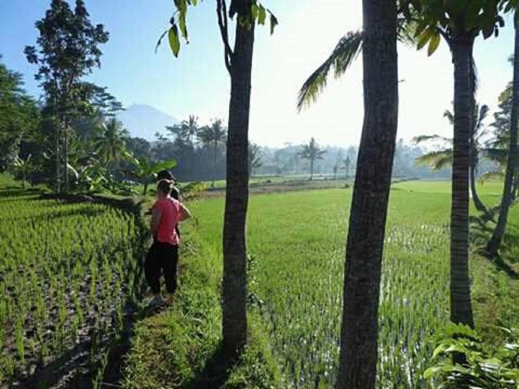 Tereng Wilis Bungalows Tetebatu Eksteriør billede