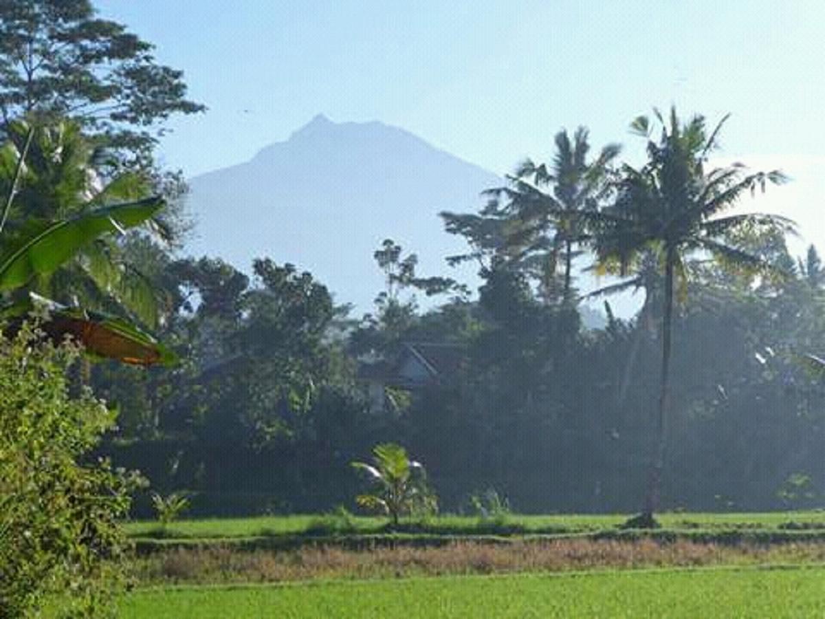 Tereng Wilis Bungalows Tetebatu Eksteriør billede