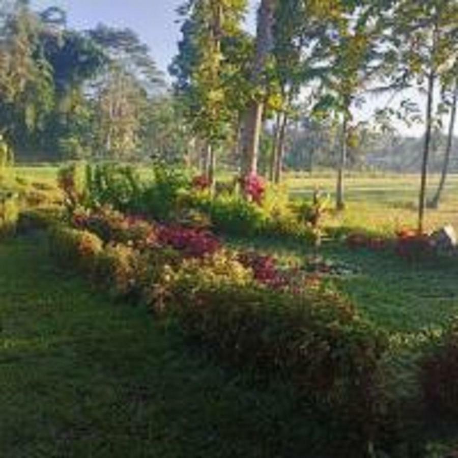 Tereng Wilis Bungalows Tetebatu Eksteriør billede